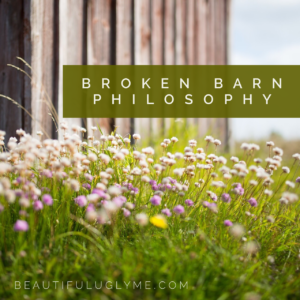 Broken Barn Philosophy