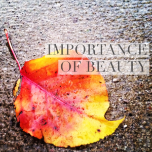 importance-of-beauty